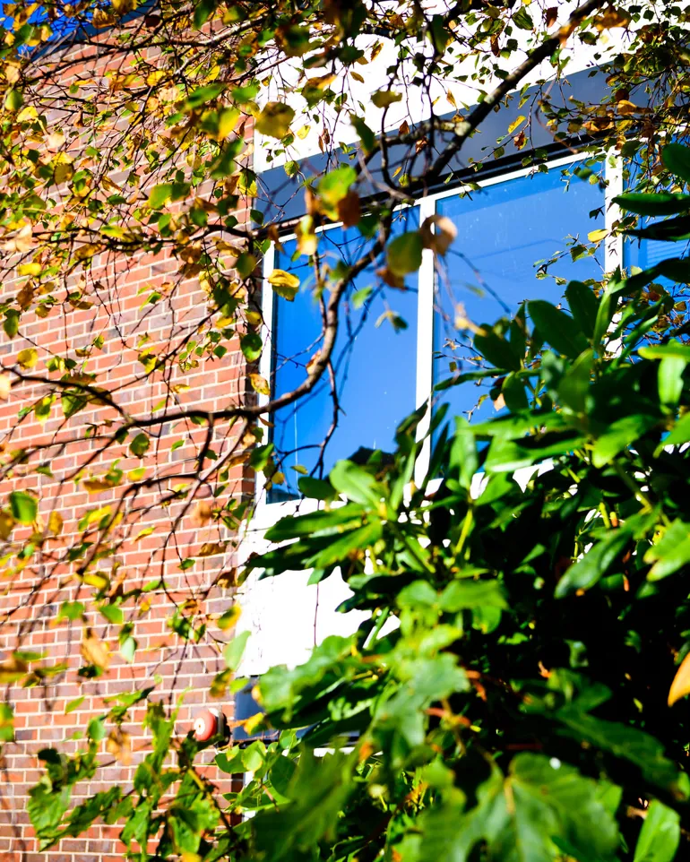 Mursteinsbygning med vindu og et tre i forgrunnen. 