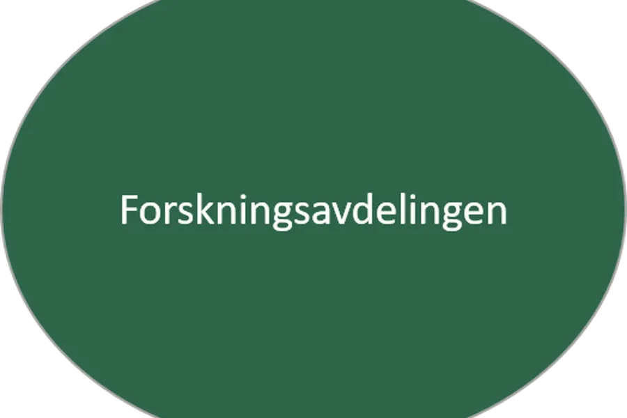 Forskningsdagene