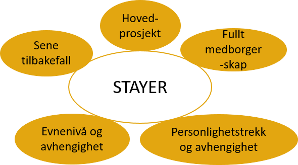 Stayer-prosjekter